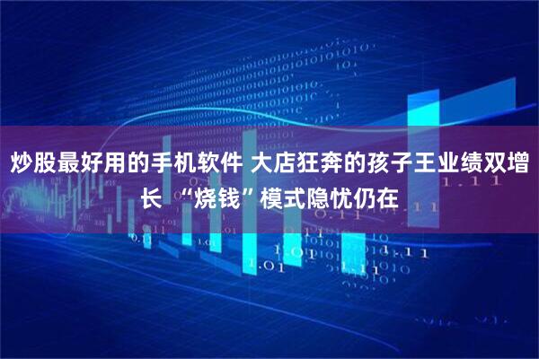 炒股最好用的手机软件 大店狂奔的孩子王业绩双增长  “烧钱”模式隐忧仍在