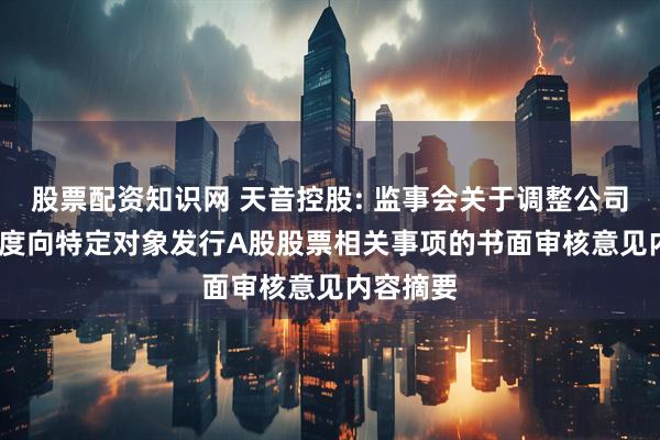 股票配资知识网 天音控股: 监事会关于调整公司2023年度向特定对象发行A股股票相关事项的书面审核意见内容摘要