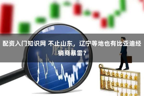 配资入门知识网 不止山东，辽宁等地也有比亚迪经销商暴雷？