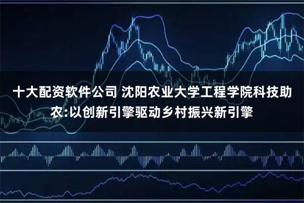 十大配资软件公司 沈阳农业大学工程学院科技助农:以创新引擎驱动乡村振兴新引擎